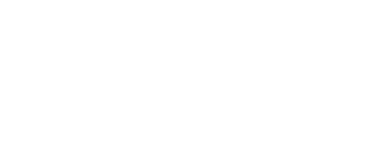 Park Styling